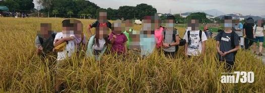 逾十名男女不理觀鳥會勸阻,擅闖塱原破壞稻田為打卡。(圖片:香港觀鳥會)