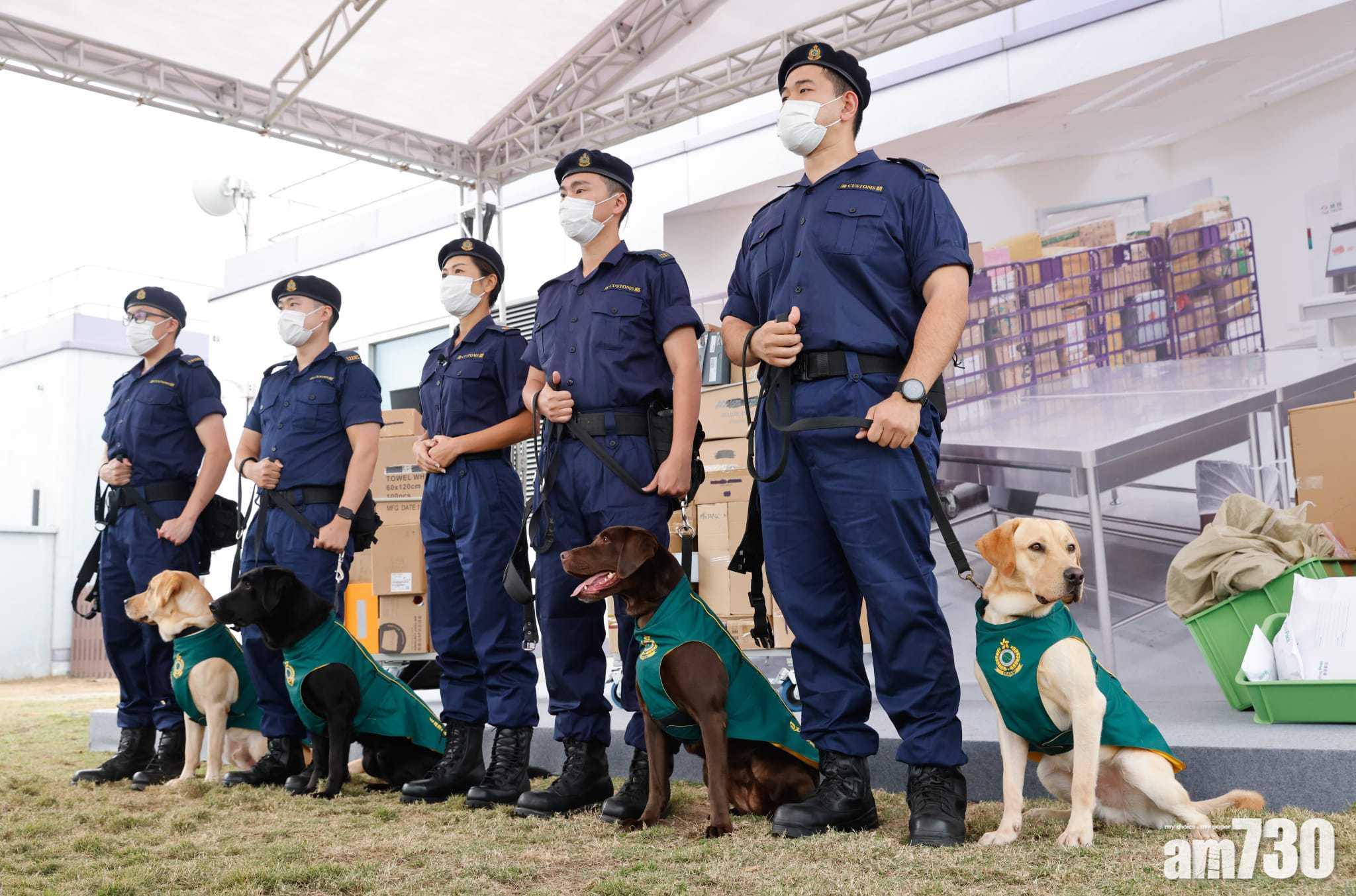(左起)Gasper、Quick、Wrangler及Nicky,其中Gasper和Nicky為海關去年首次成功繁殖的搜查犬。(蘇文傑攝)