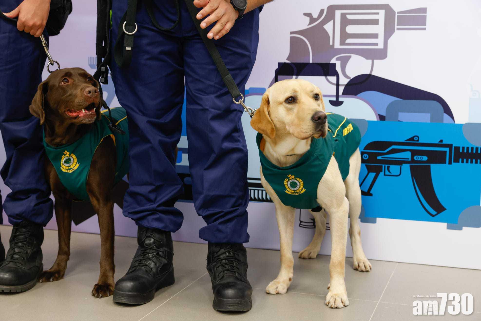 海關成立首支槍械搜查犬。(蘇文傑攝)