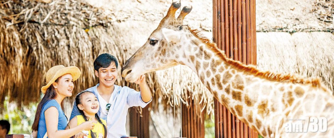 Vinpearl Safari有各種不同的動物表演節目、有趣的互動活動、收費體驗餵食動物、與動物合照，非常適合帶小朋友來。
