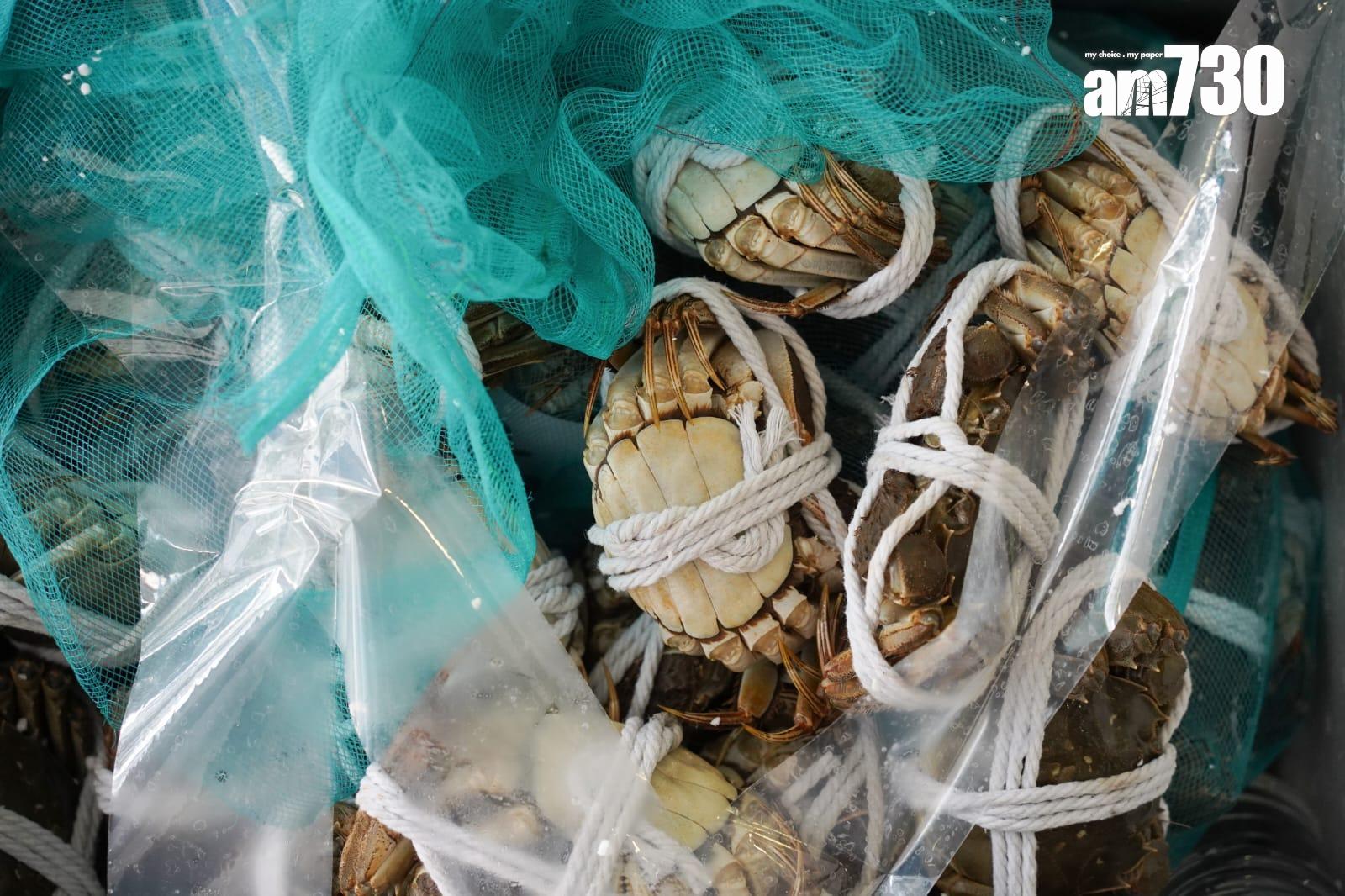 海關接連破獲大閘蟹走私案 業界指有制度漏洞難追查來貨走向(資料圖片/李睿哲攝)