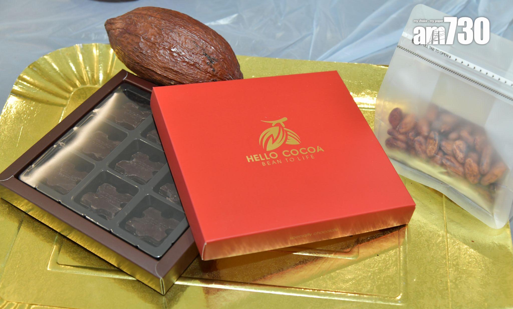 會德豐KOKO MARE展銷廳舉辦聖誕歡樂日 工作坊助家長認識子女|新盤動態