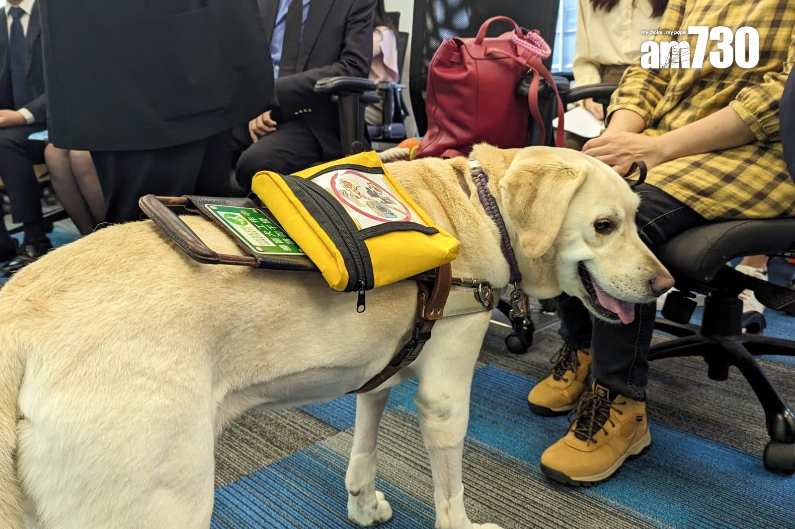 平機會推出導盲犬指南教育公眾 盼加強認識保障視障人士權利(羅庸軒攝)