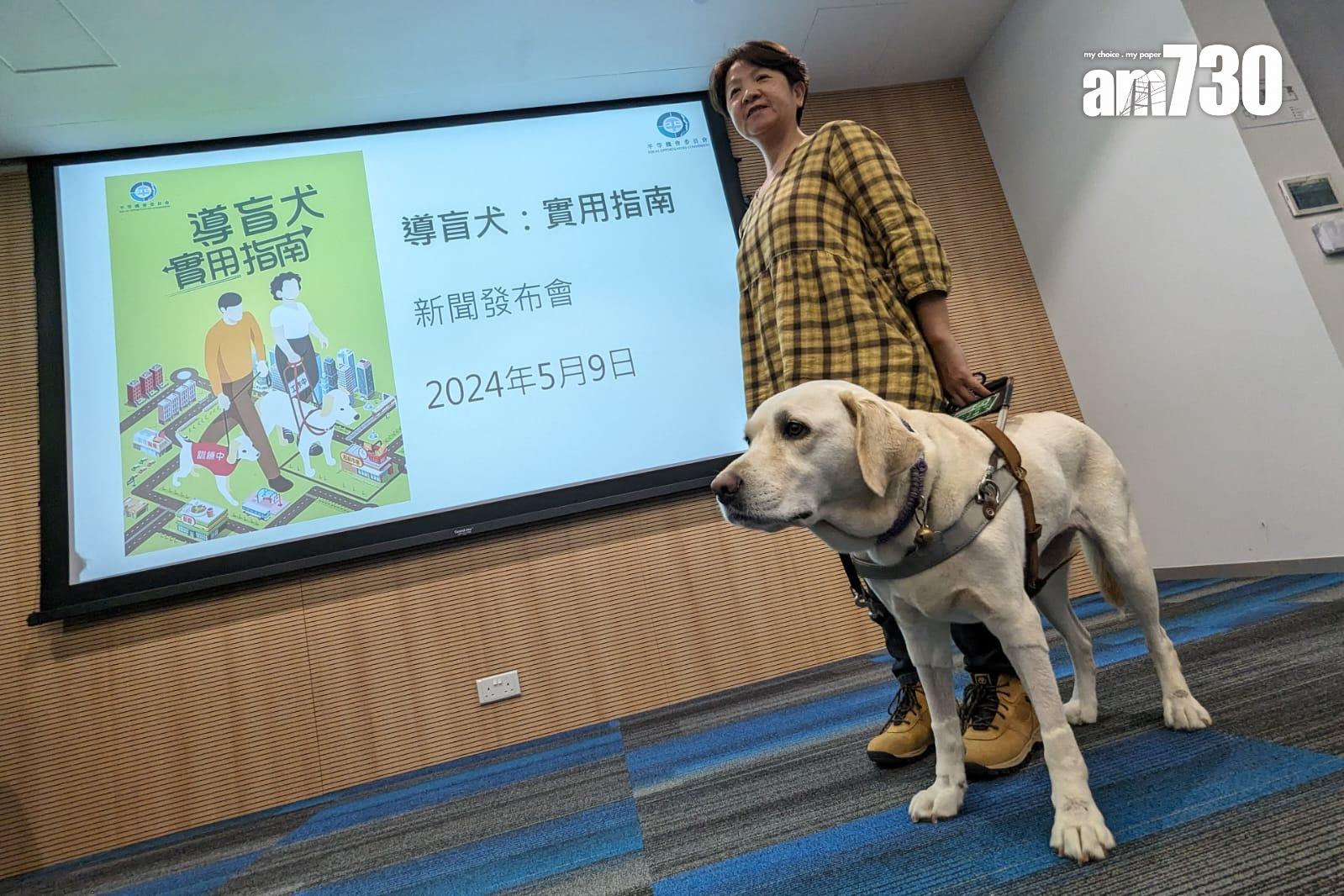 平機會推出導盲犬指南教育公眾 盼加強認識保障視障人士權利(羅庸軒攝)