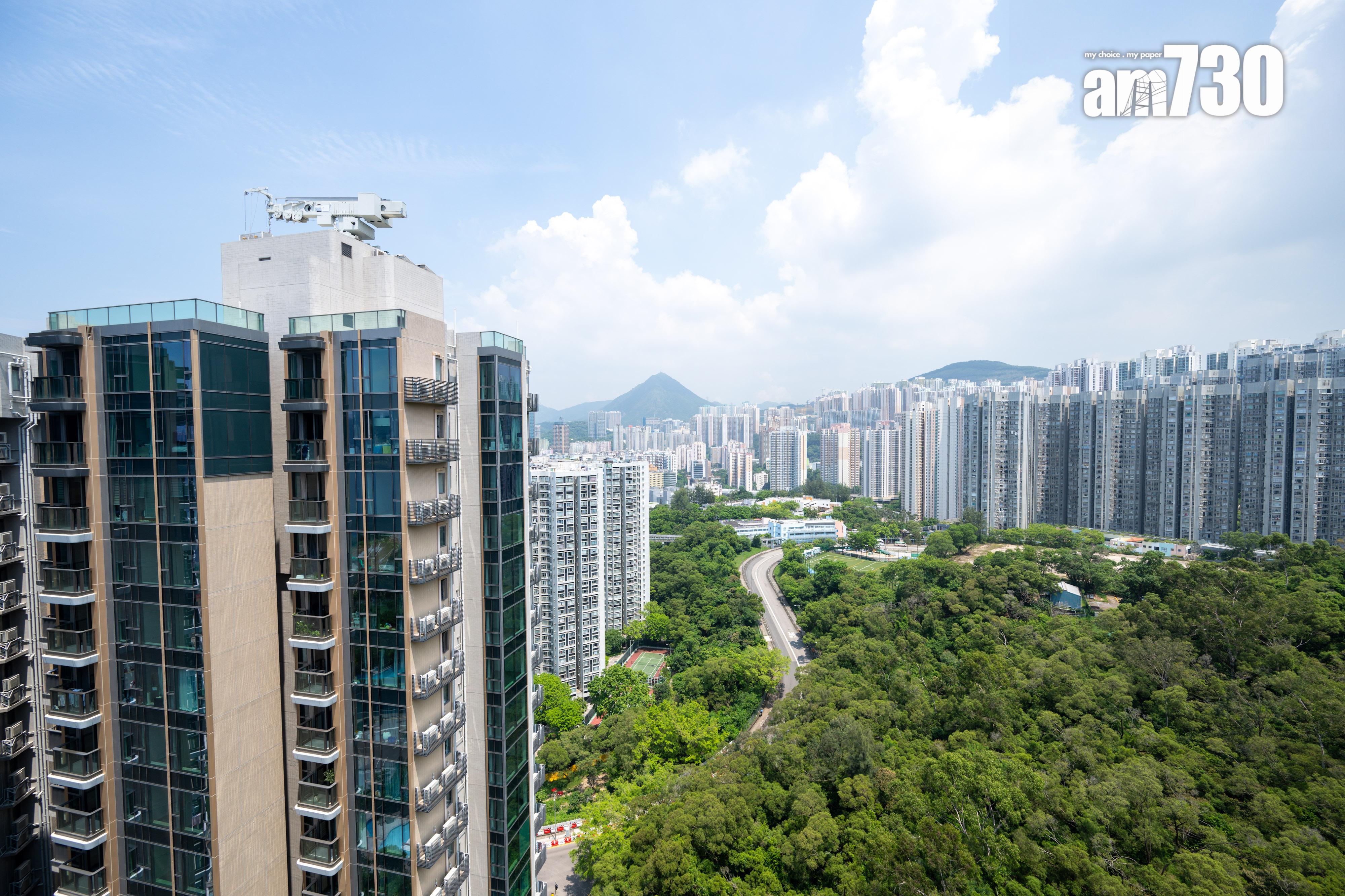 KOKO ROSSO和KOKO MARE兩房現樓示範單位有得睇 梗廚設計適合家庭客(多圖有片)|藍田新盤