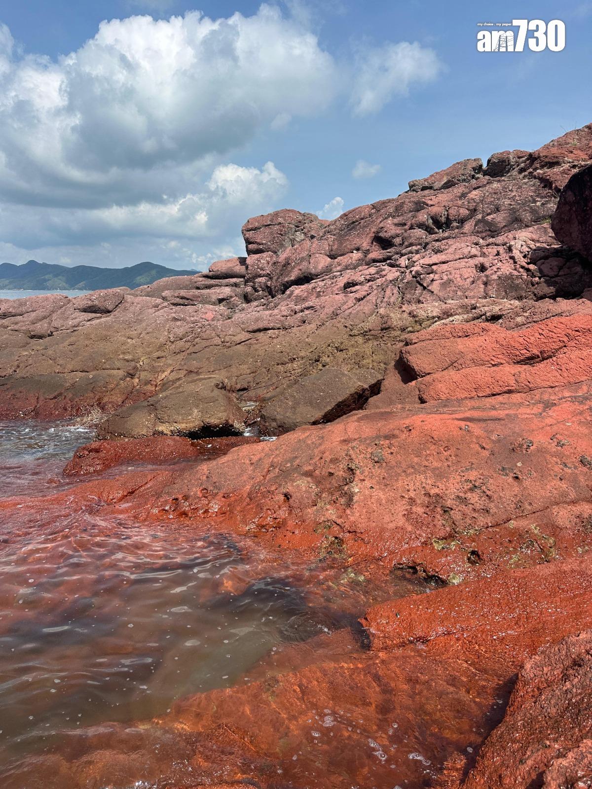 泳綑赤洲有不少時間在水中,不單可以避過暑熱,更可以見到許多岸上見不到的奇景
