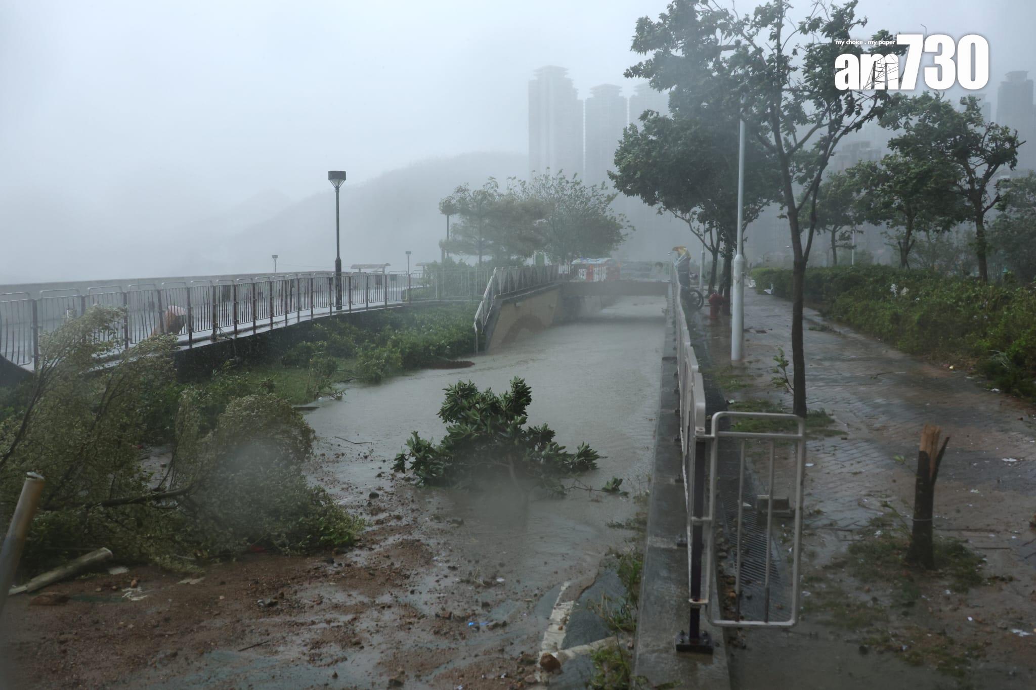 將軍澳出現海水倒灌情況。(林俊源攝)