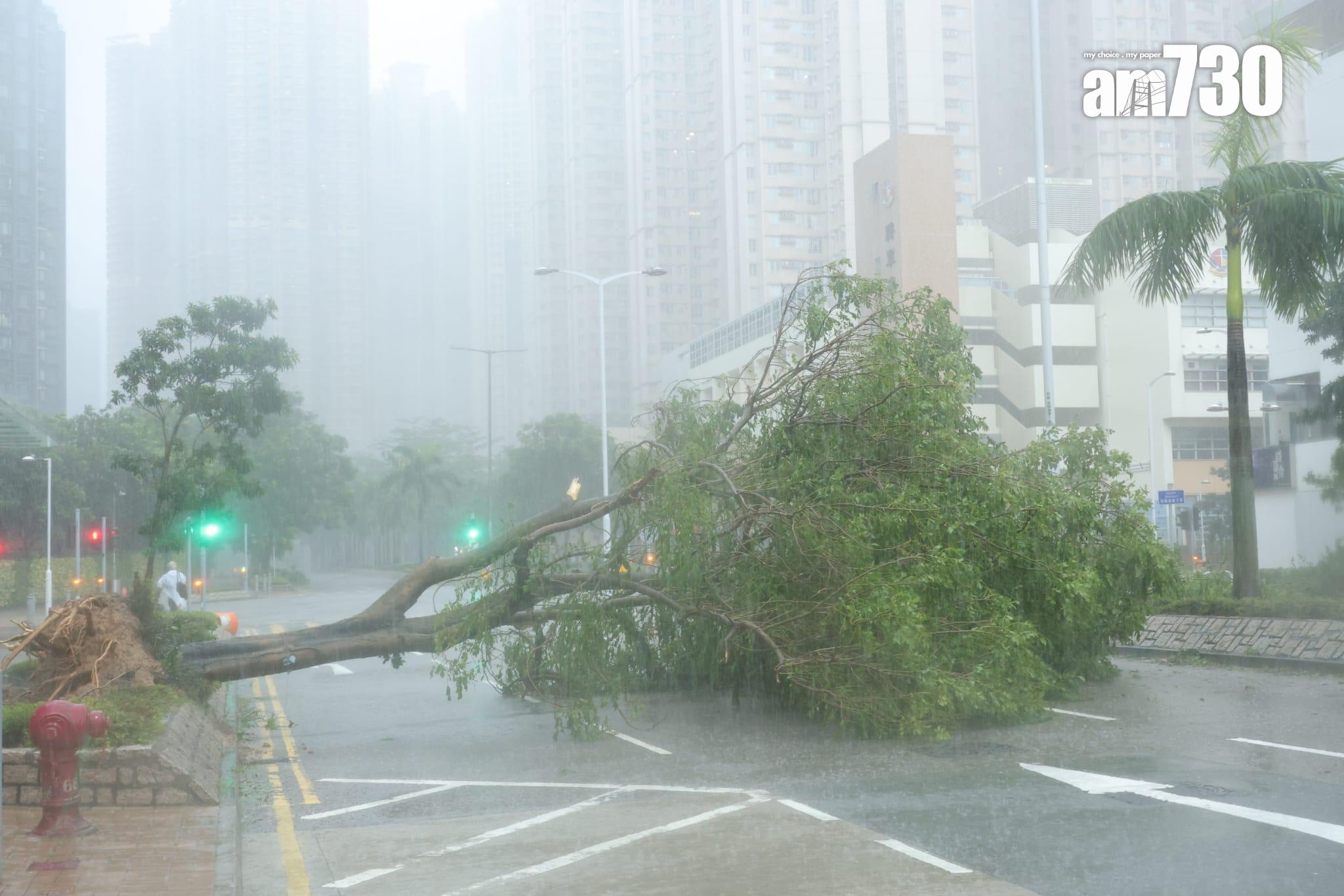 將軍澳災情嚴重。(林俊源攝)
