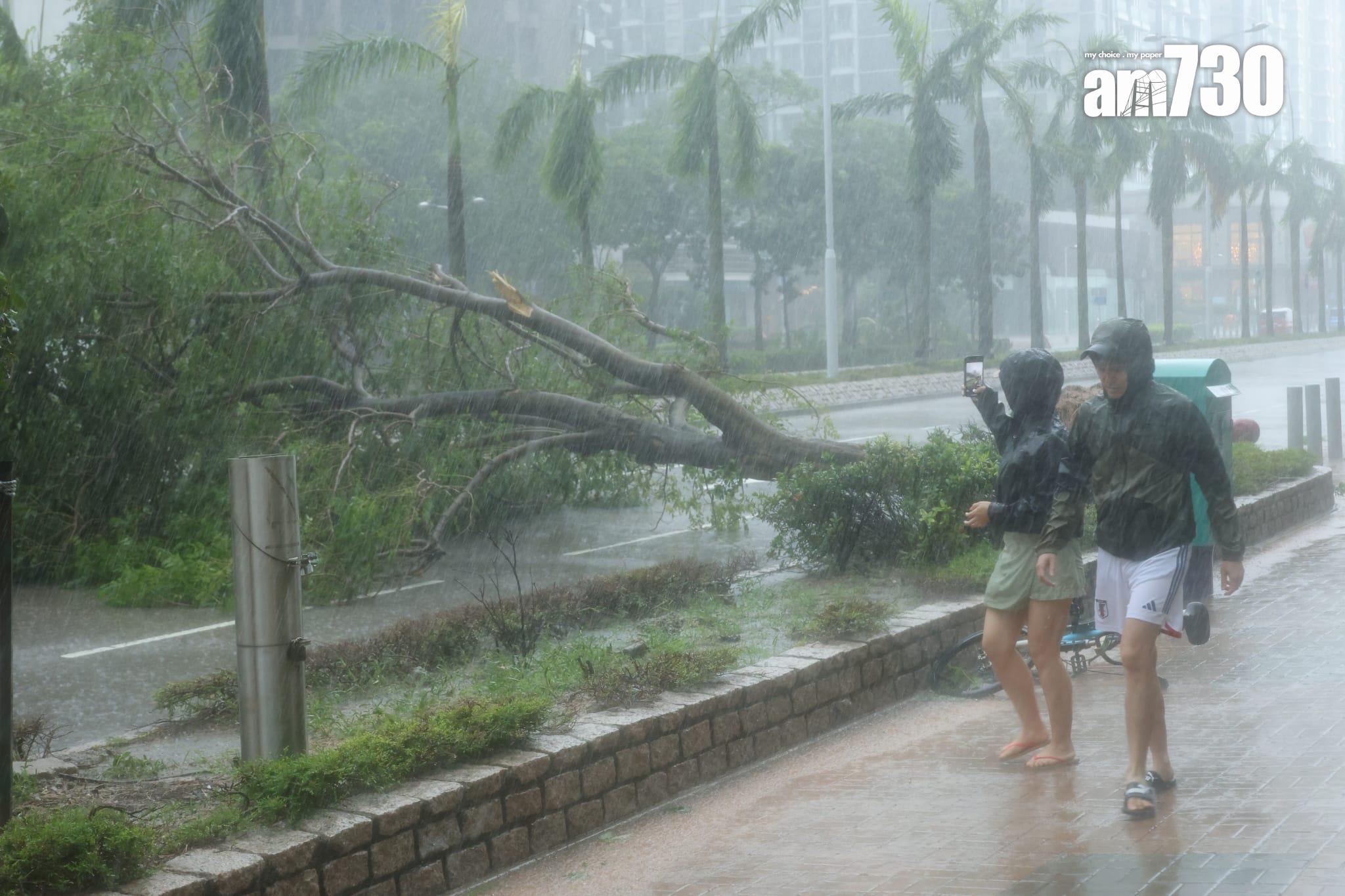 將軍澳災情嚴重。(林俊源攝)