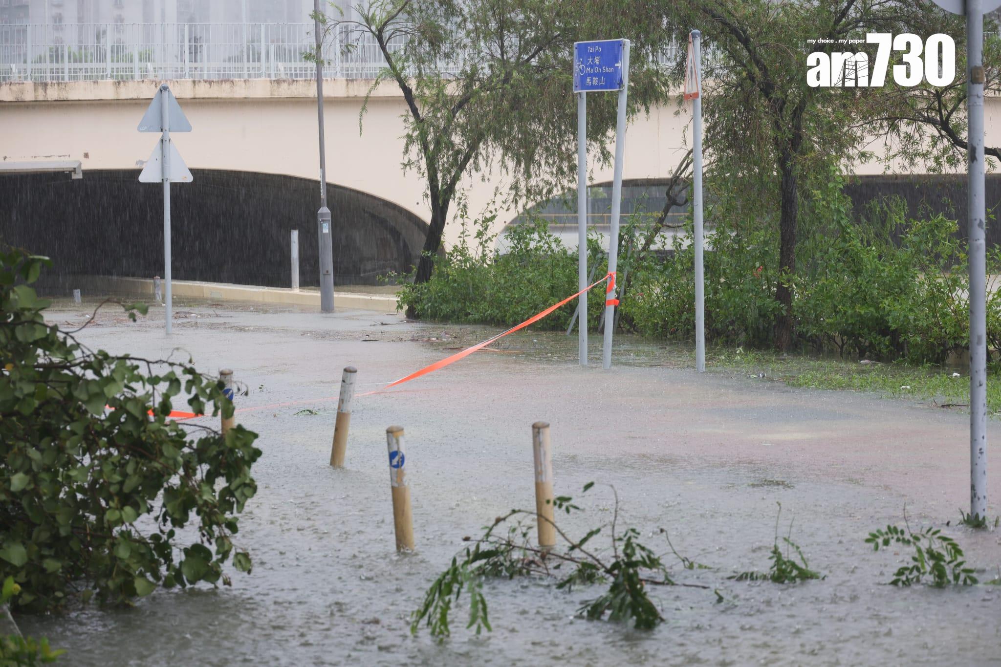 樺加沙肆虐下沙田情況。(吳康琦攝)