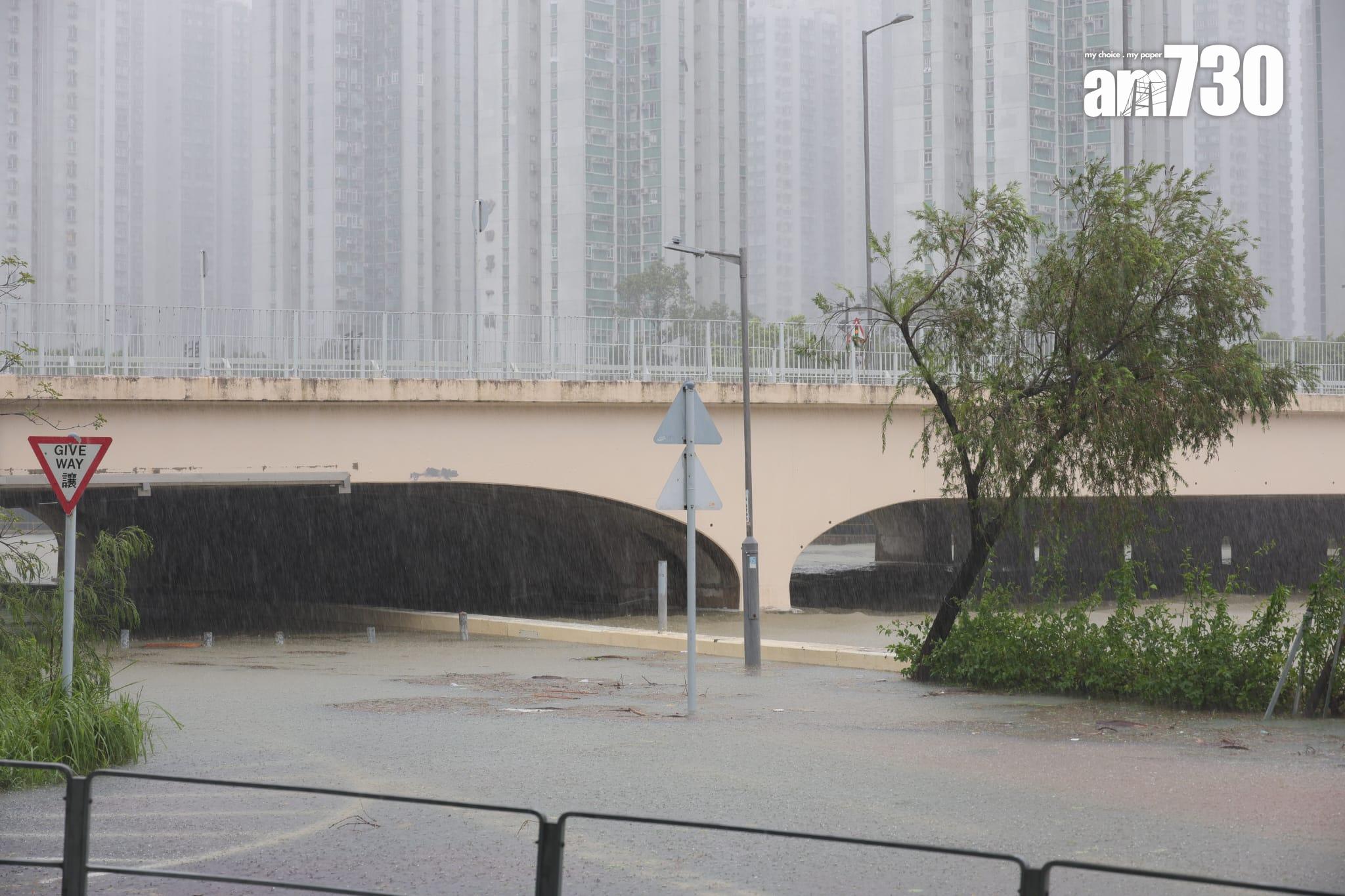 樺加沙肆虐下沙田情況。(吳康琦攝)