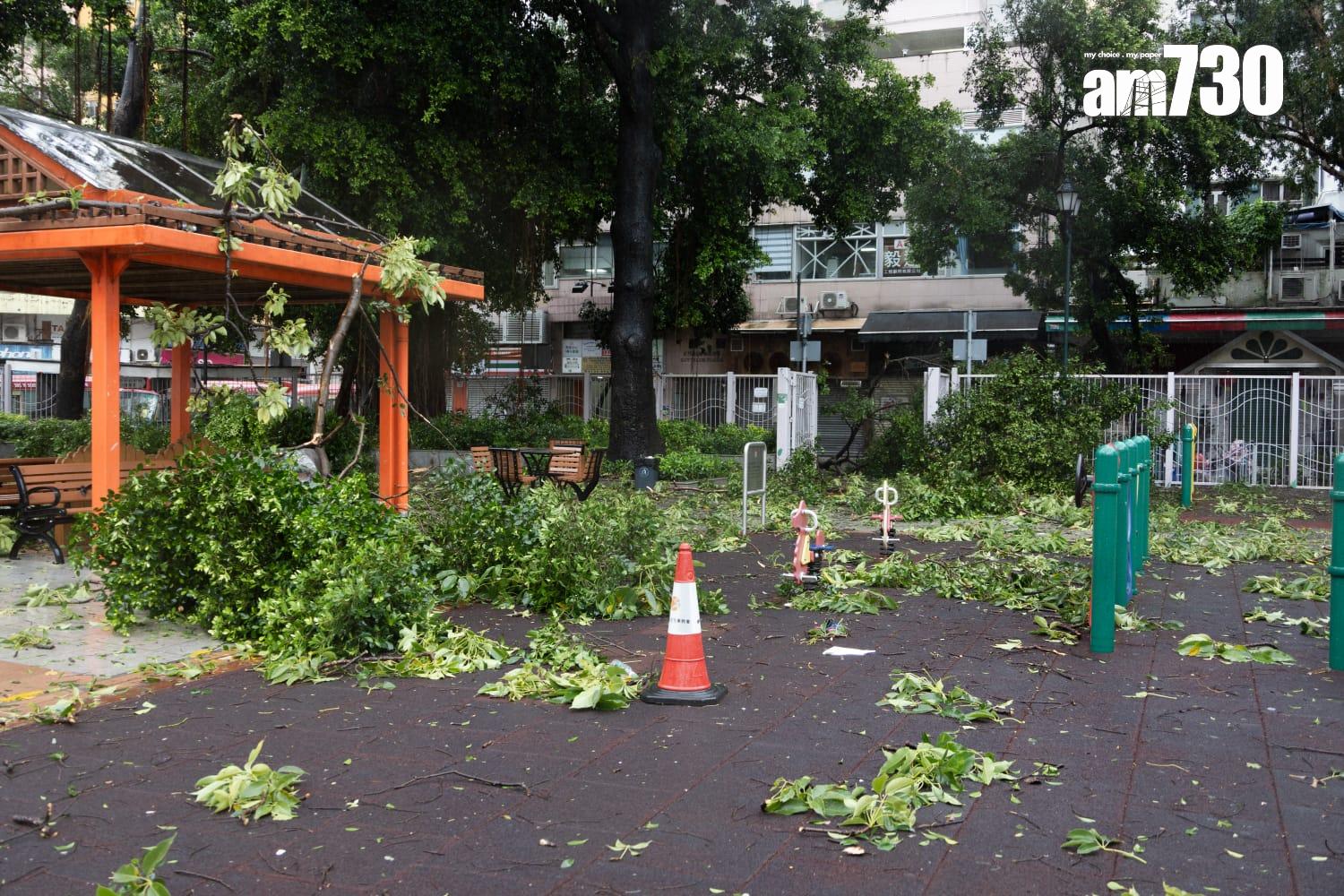 樺加沙肆虐下元朗情況。(周令知攝)