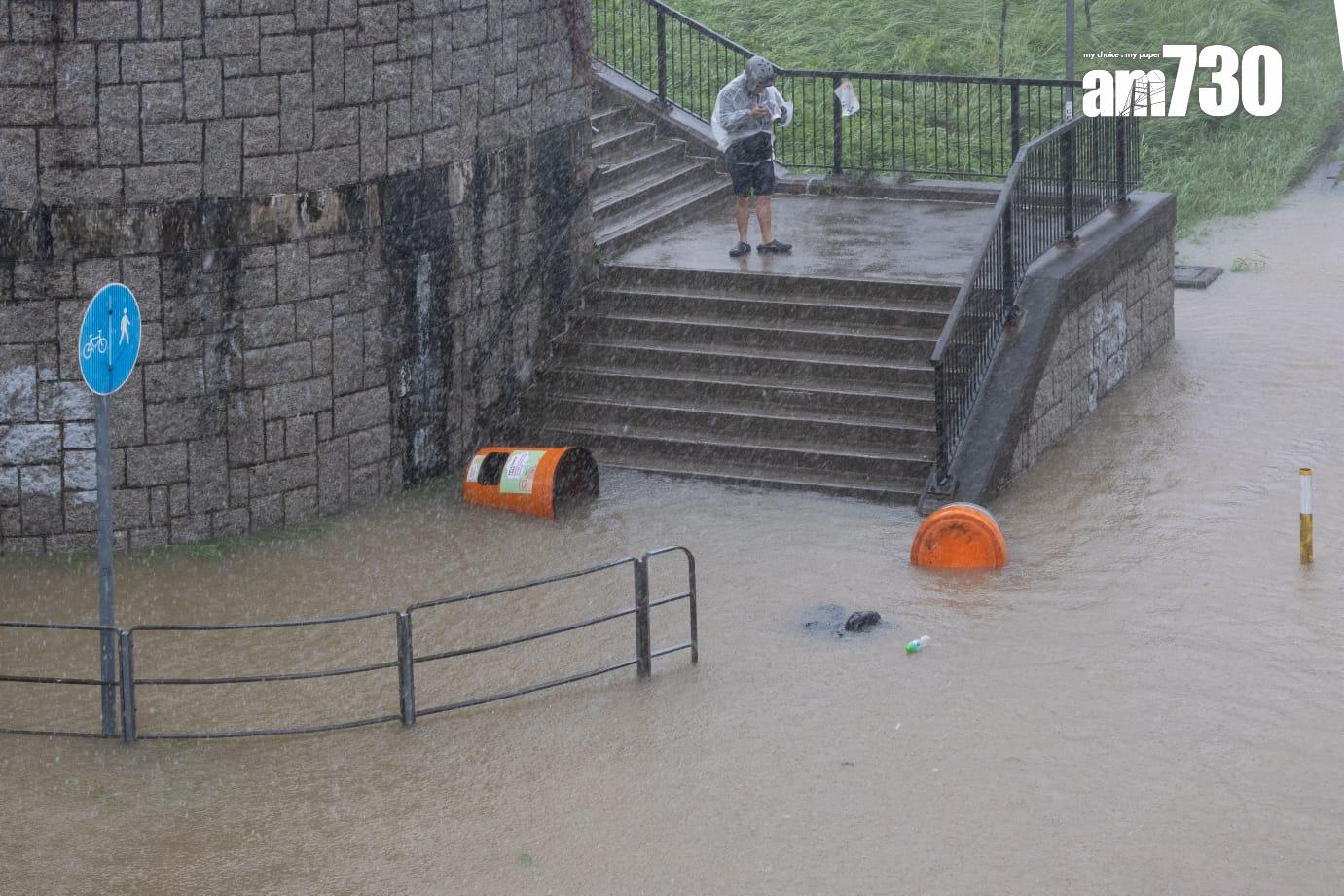 樺加沙肆虐下大埔情況。(蘇文傑攝)