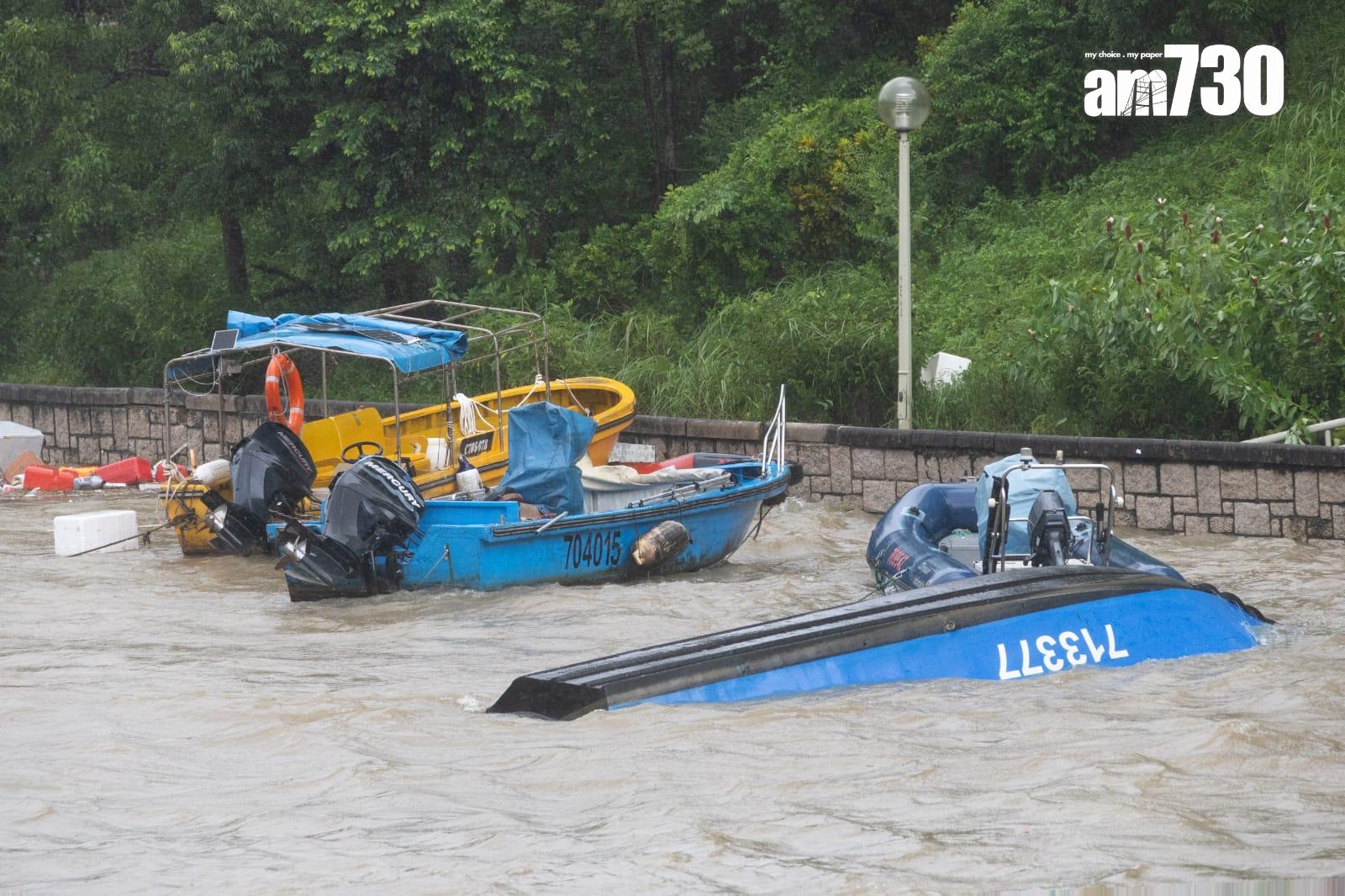 樺加沙肆虐下大埔情況。(蘇文傑攝)