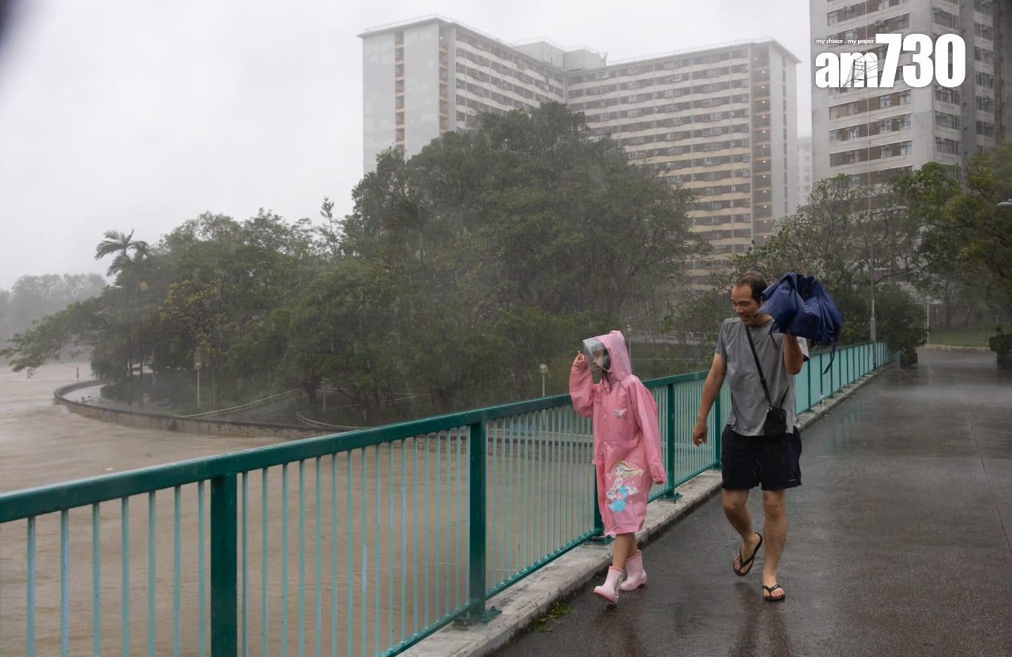 樺加沙肆虐下大埔情況。(蘇文傑攝)
