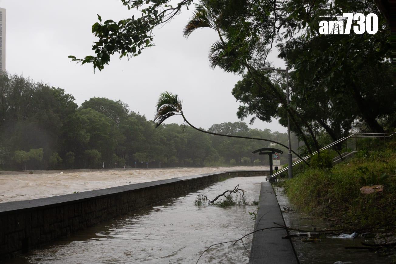 樺加沙肆虐下大埔情況。(蘇文傑攝)
