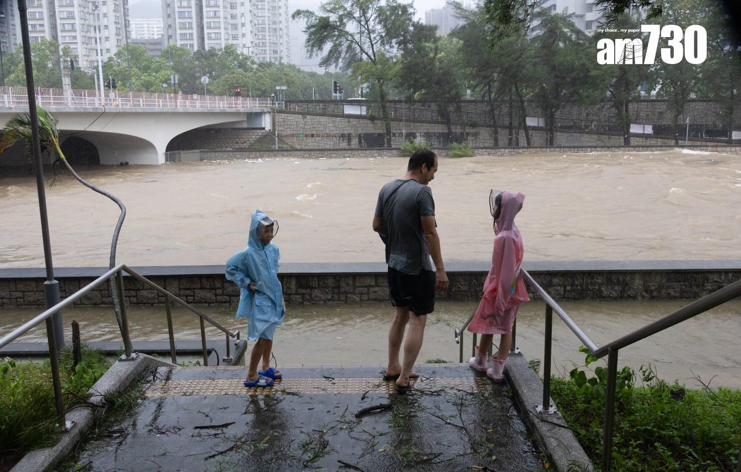 樺加沙肆虐下大埔情況。(蘇文傑攝)