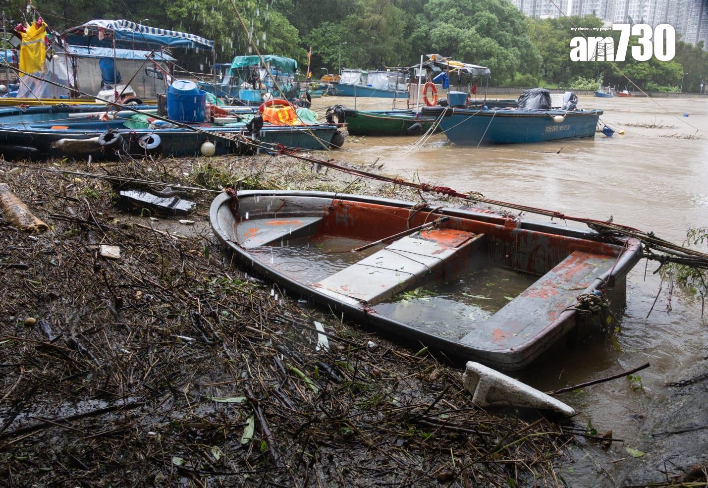 樺加沙肆虐下大埔情況。(蘇文傑攝)