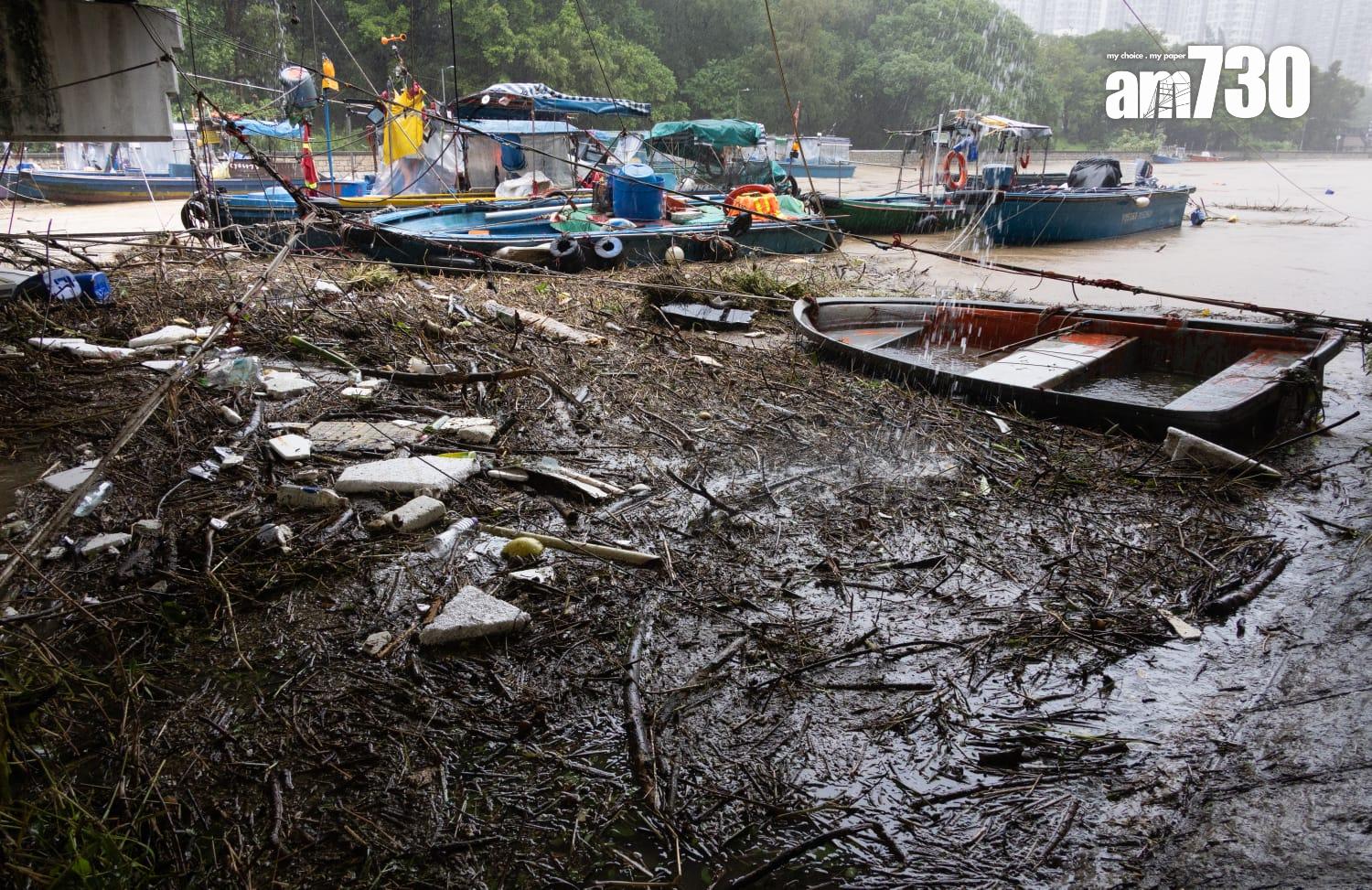 樺加沙肆虐下大埔情況。(蘇文傑攝)