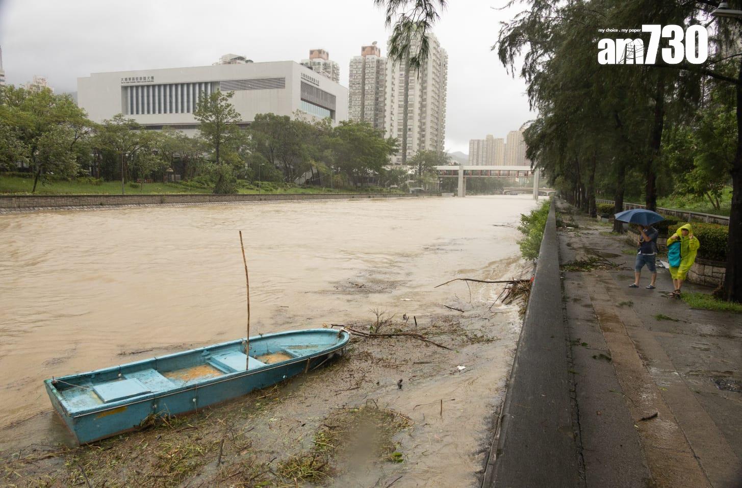樺加沙肆虐下大埔情況。(蘇文傑攝)