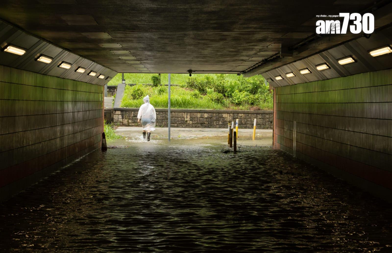 樺加沙肆虐下大埔情況。(蘇文傑攝)