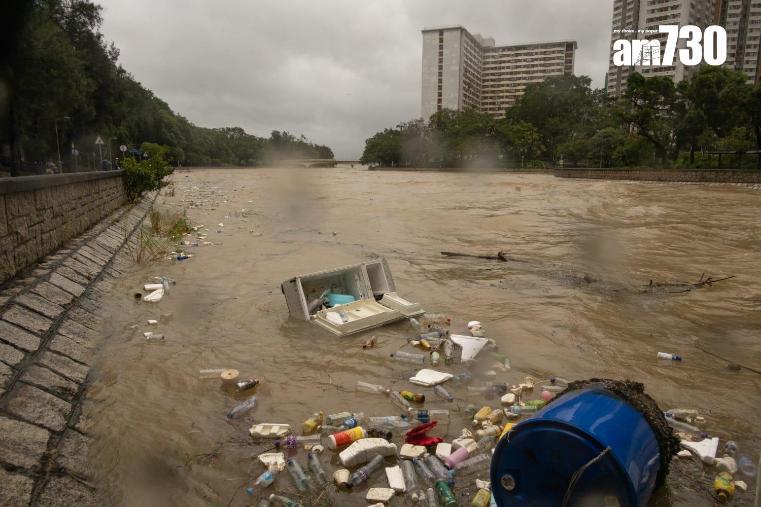 樺加沙肆虐下大埔情況。(蘇文傑攝)