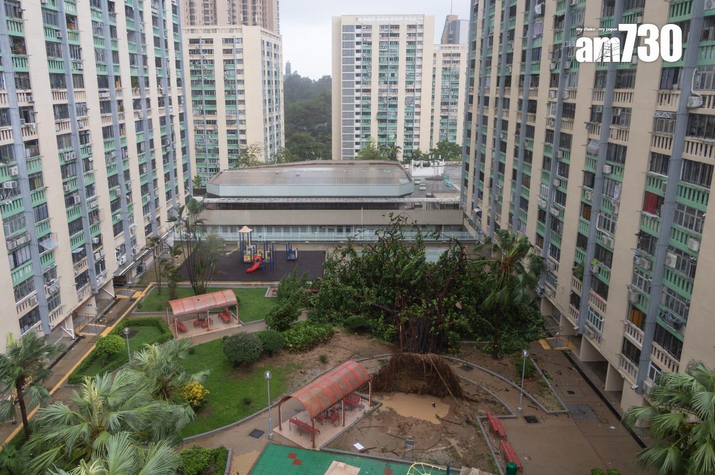 樺加沙肆虐下何文田愛民邨情況。(蘇文傑攝)