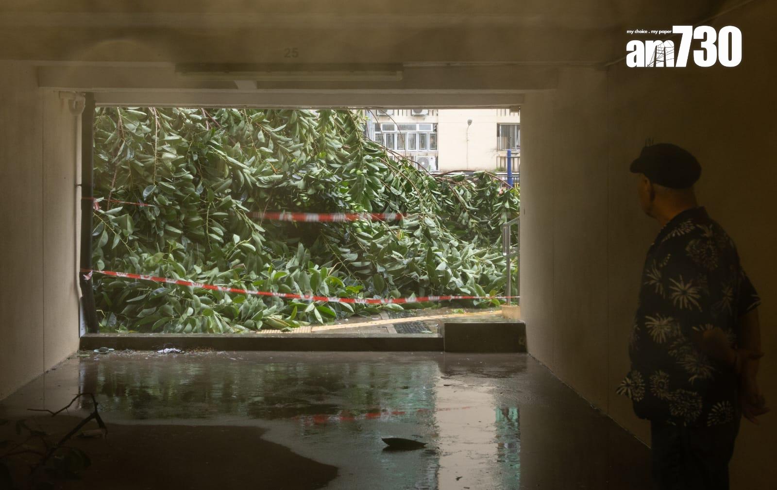 樺加沙肆虐下何文田愛民邨情況。(蘇文傑攝)