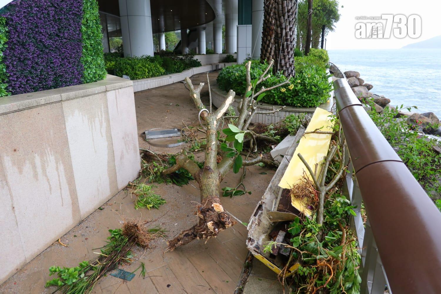 香港富麗敦海洋公園酒店。(鍾式明攝)