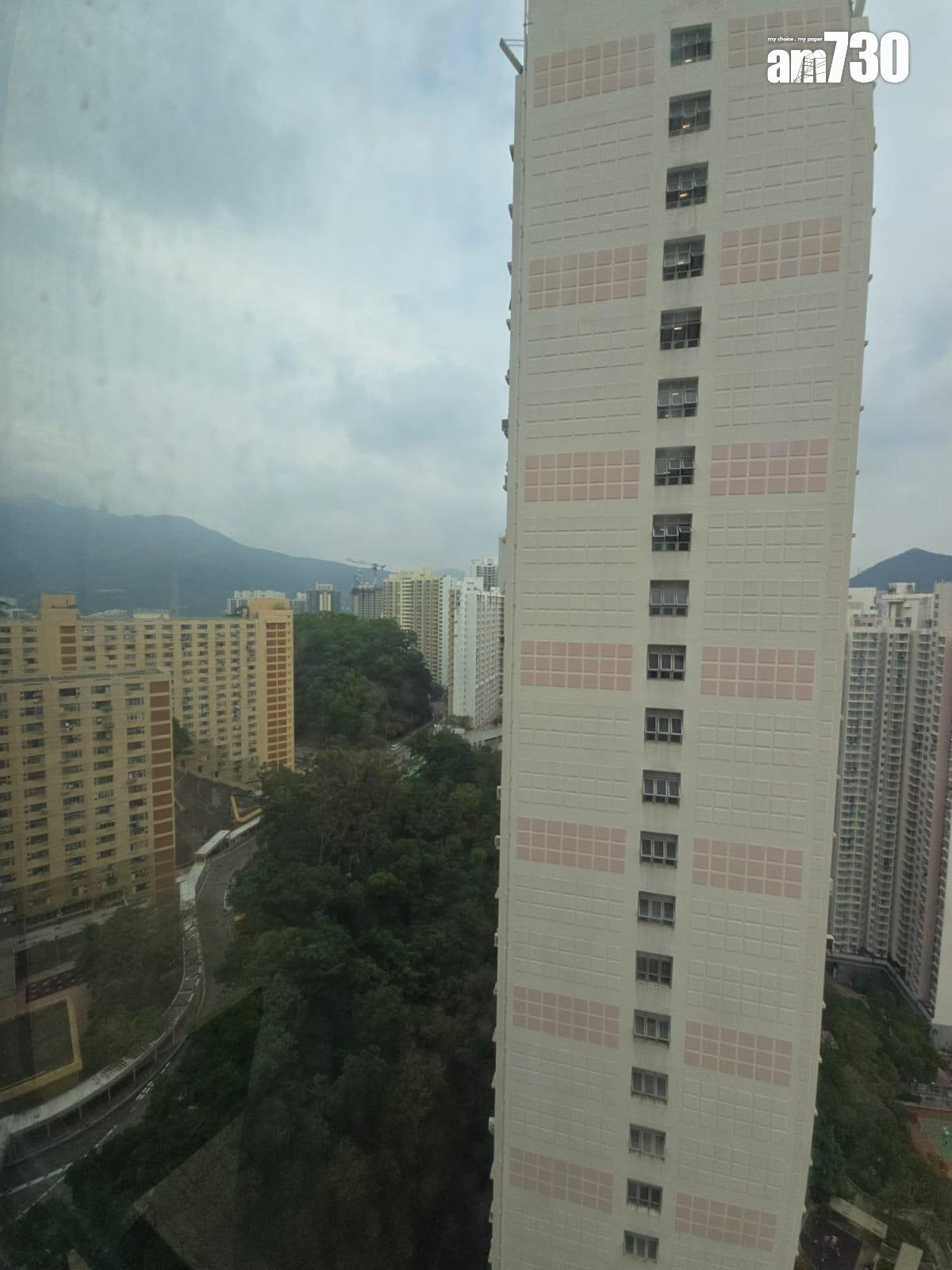 葵涌全新裝修兩房戶放盤 間隔四正實用 會所設施多元(多圖)|有樓睇