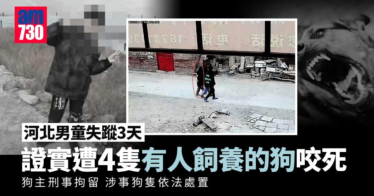 河北男童失蹤3天 證實遭4隻狗圍攻咬死