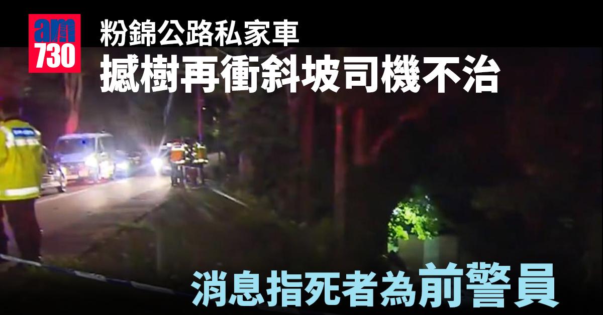 粉錦公路私家車撼樹再衝斜坡司機不治 消息指死者為前警員