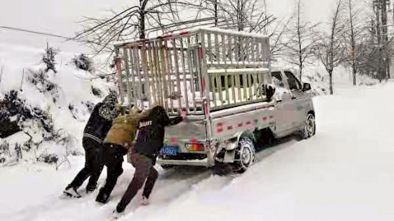 強勁濕冷 雲南元謀39年來首飄雪 廣西雨雪成災影響3萬人