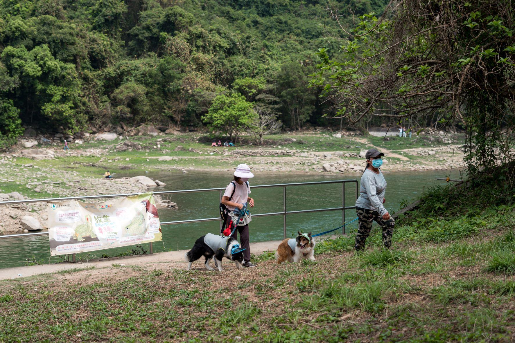 郊野公園, 郊野公園