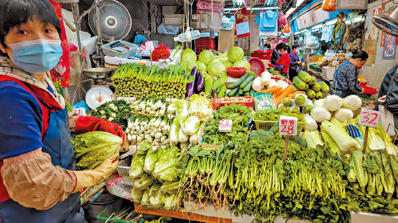 跨境貨運｜蔬菜供港量不穩致價飆 陳帆：研究方法確保供應