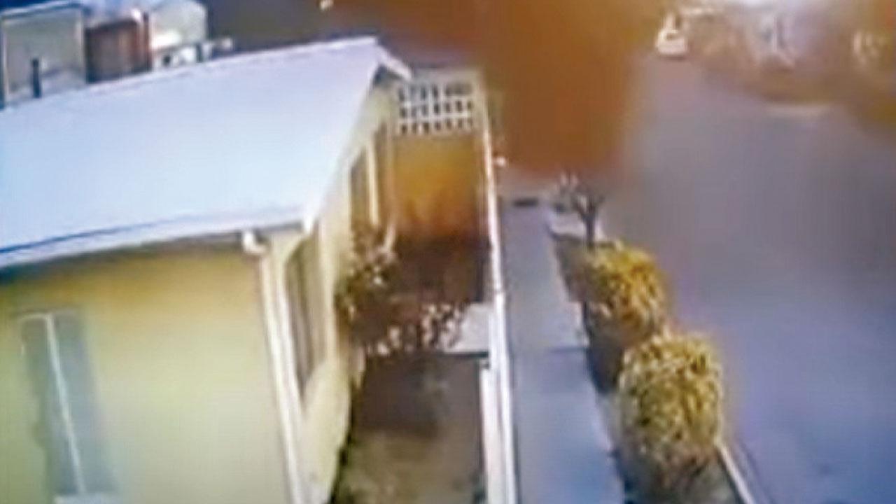 行人路滿布雀屍 候鳥群離奇墮地惹憂慮