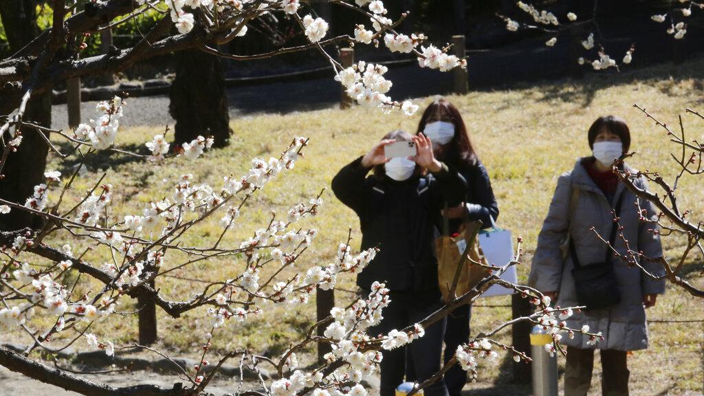 日本3名殘疾人士成功控告政府違憲獲得賠償。(美聯社)