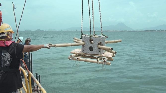 機管局, 三跑, 三跑工程, 人工魚礁