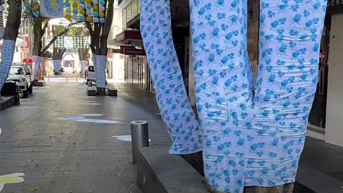 大吉利是｜悉尼唐人街新年布置破格用藍白色 被批似喪禮遭拆除