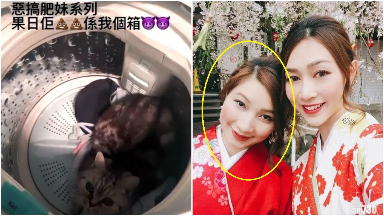 前港姐冠軍黃嘉雯胞姐黃綺婷(黃圈所示)虐貓罪成，判處80小時社會服務令。(資料圖片)