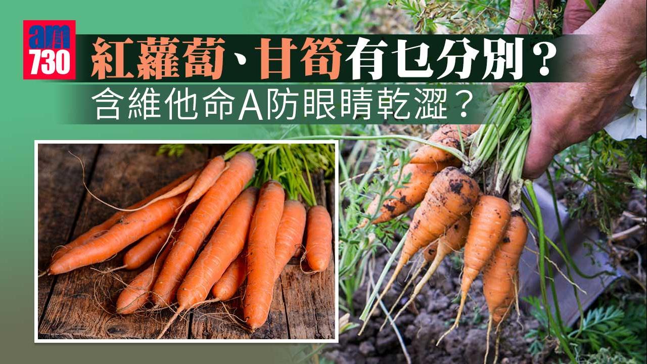  紅蘿蔔甘筍分別｜點揀最有營養？含豐富維他命A防眼睛乾澀 附韓式紅蘿蔔燜牛肋骨食譜