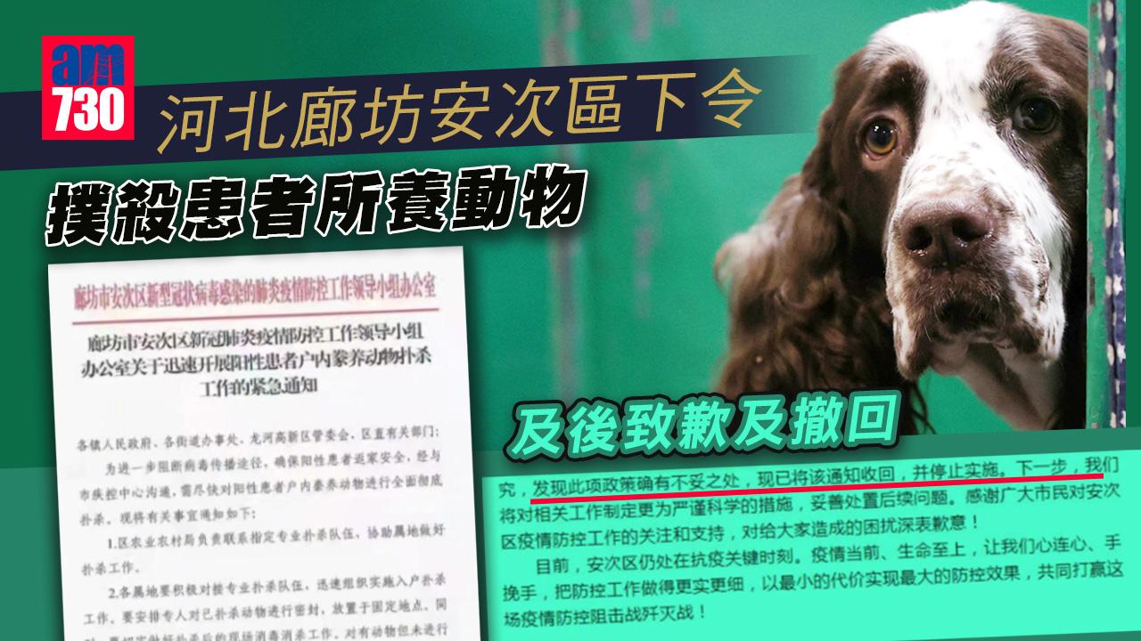 疫情｜河北廊坊安次區下令撲殺患者所養動物 網民大怒：強制進屋殺家人？