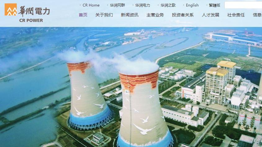 企業放榜｜潤電去年少賺79% 大削派息