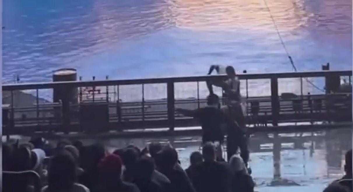 北京環球影城少年觀眾踢演員「救美」