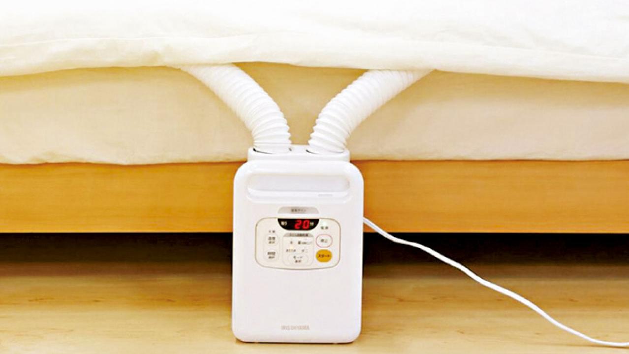 春分除濕驅霉氣