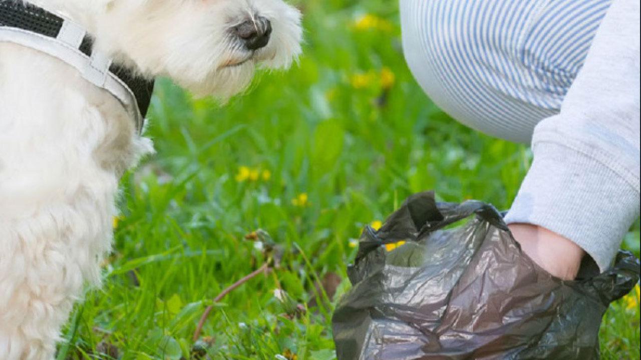 禁足，不禁關懷