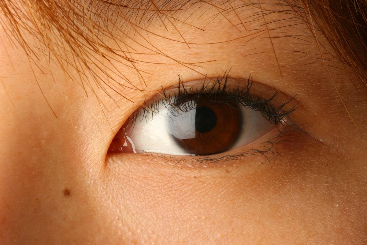 眼睛
