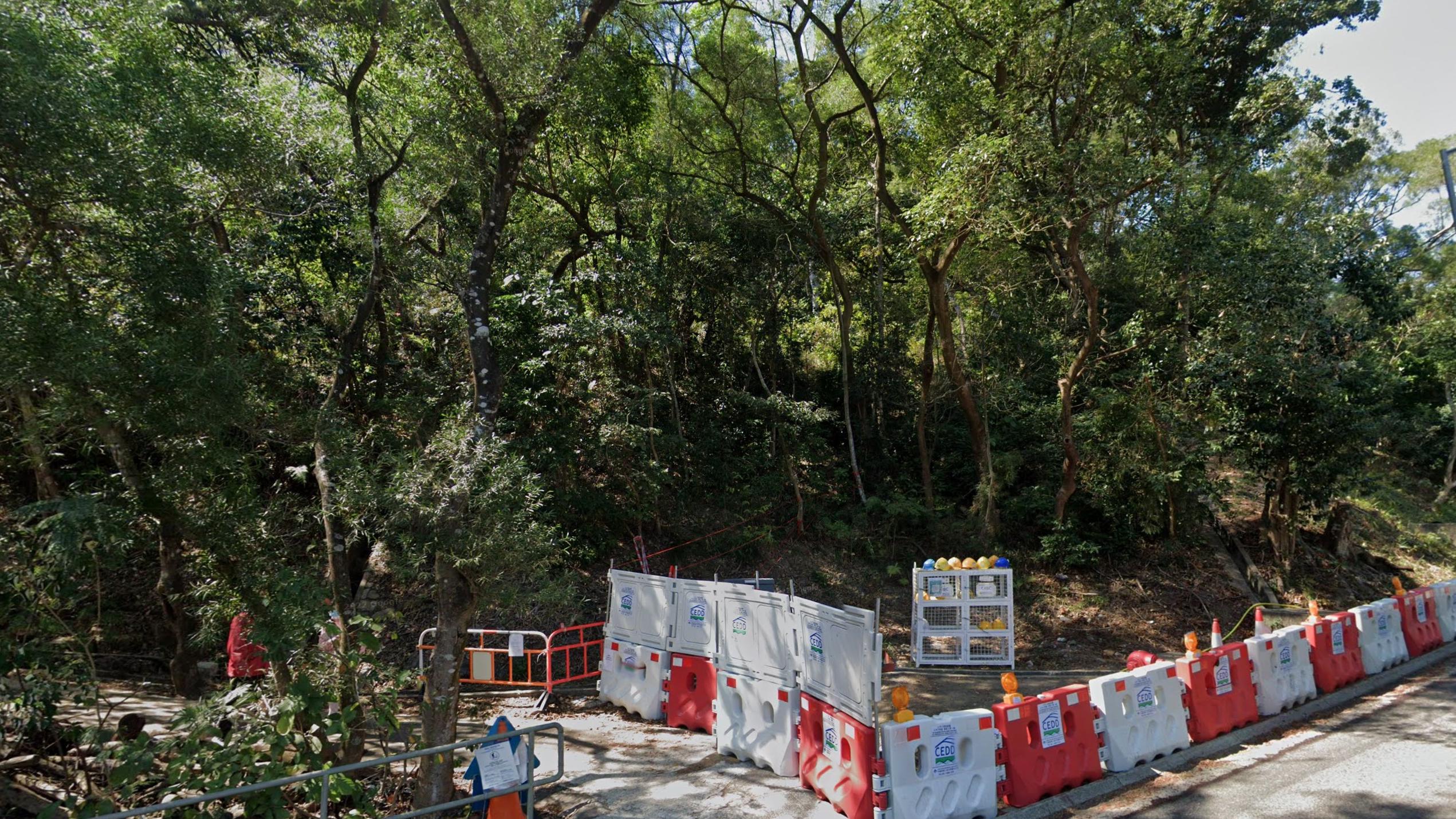 將軍澳鴨仔山。(網上截圖)