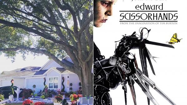 尊尼特普《幻海奇緣》房屋560萬放售