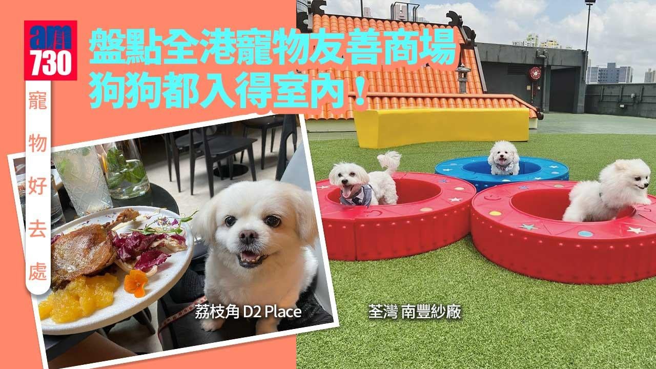 寵物好去處｜盤點全港寵物友善商場 狗狗都入得室內！
